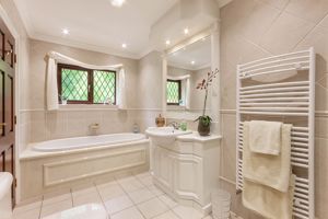 Photo 13- click for photo gallery